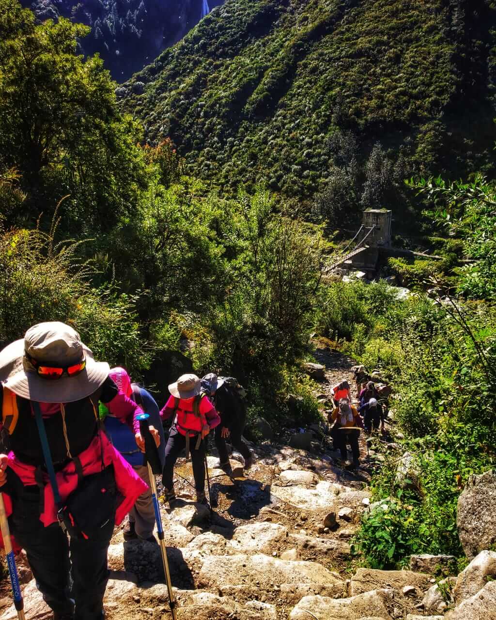 Hiking & Trekking