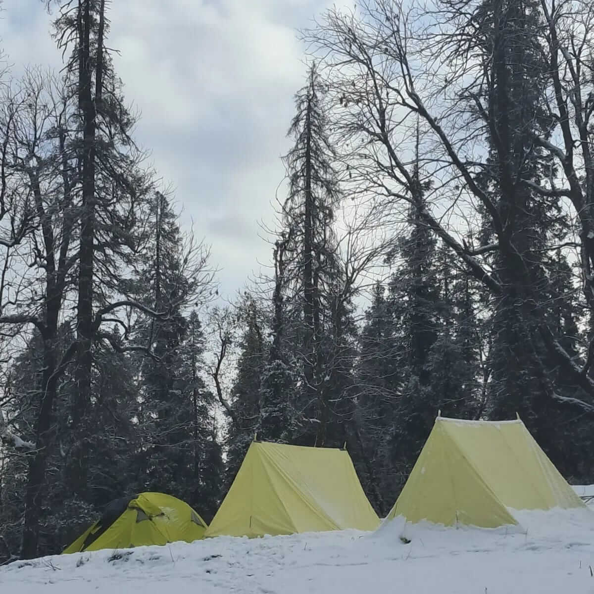 Camping