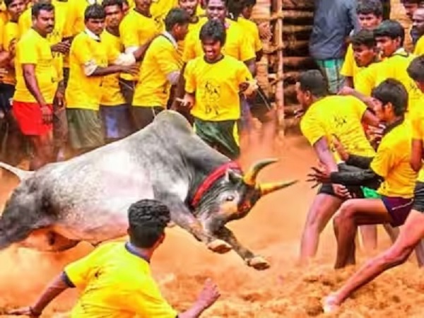 तमिलनाडु: जल्लीकट्टू समारोह के दौरान बड़ा हादसा, 2 पुलिसकर्मी समेत 45 लोग घायल