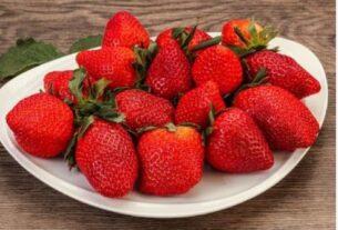 स्ट्रॉबेरी खाना किडनी रोगियों के लिए होता है लाभदायक, मिलते हैं कई फायदे