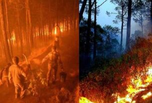 24 घंटे में 31 जगहों पर धधके जंगल, आग बुझाने में जुटे वनकर्मी 