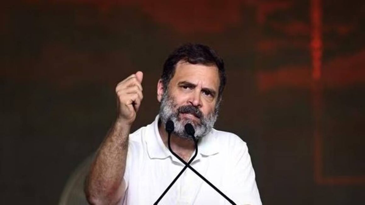 20 करोड़ 39 लाख की संपत्ति के मालिक हैं राहुल गांधी, यहां जानें कितने मुकदमे हैं दर्ज