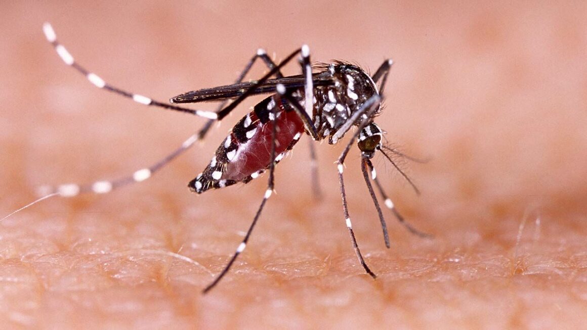 जिला प्रशासन ने डेंगू की रोकथाम के लिए किया कंट्रोल रूम स्थापित 
