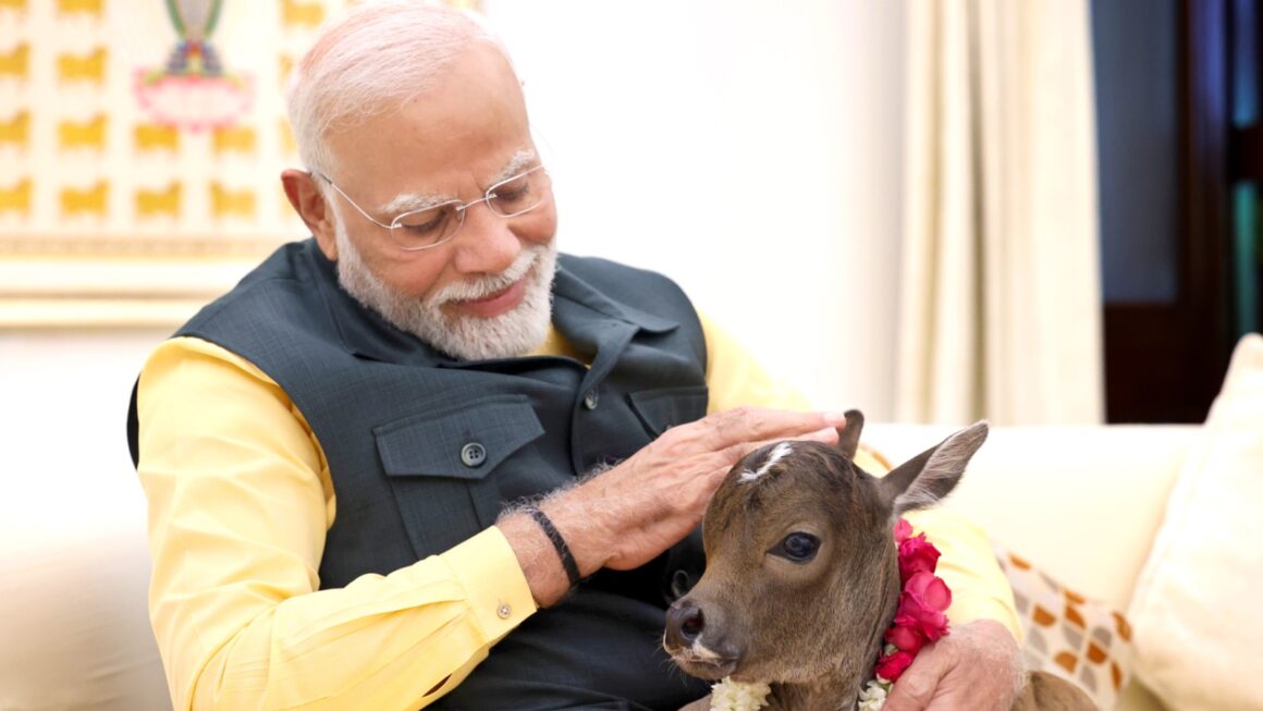 प्रधानमंत्री आवास पर गाय ने बछिया को दिया जन्म, ‘दीपज्योति’ रखा गया नवजात का नाम