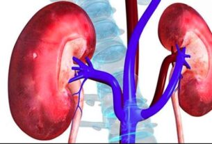 बदलती जीवनशैली और अनियमित खान-पान से बढ़ रहा किडनी रोग का खतरा, डॉक्टरों ने दी चेतावनी