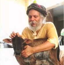 उप जिलाधिकारी ने किया गौशाला का निरीक्षण