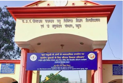 गो-अनुसंधान संस्थान का 22वां दो दिवसीय वार्षिक खेल-कूद प्रतिस्पर्धा संपन्न