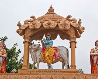 भागवत प्रवक्ताओं पर अखिलेश यादव का बयान निंदनीय, संत हुए नाराज