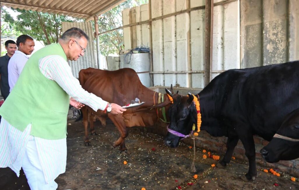 कैबिनेट मंत्री गणेश जोशी ने गोवर्धन पूजा के अवसर पर किया गौमाता का पूजन 