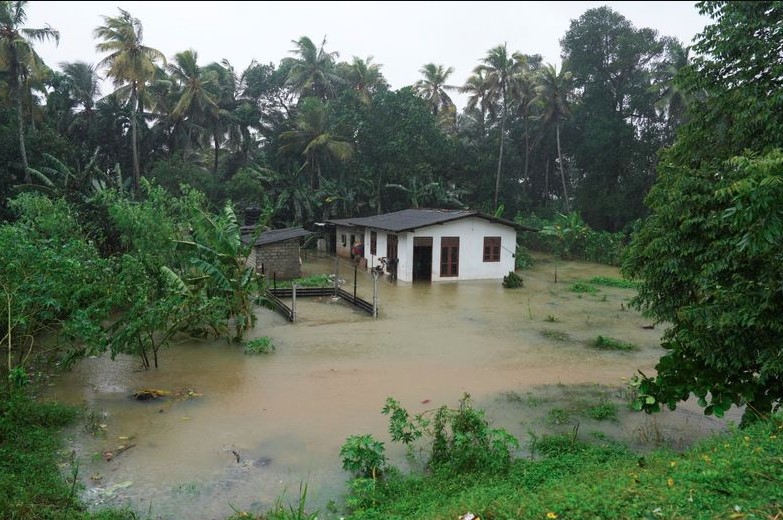 दित्वाह तूफान ने श्रीलंका में मचाई भीषण तबाही, अब तक 486 लोगों की मौत, कई लापता
