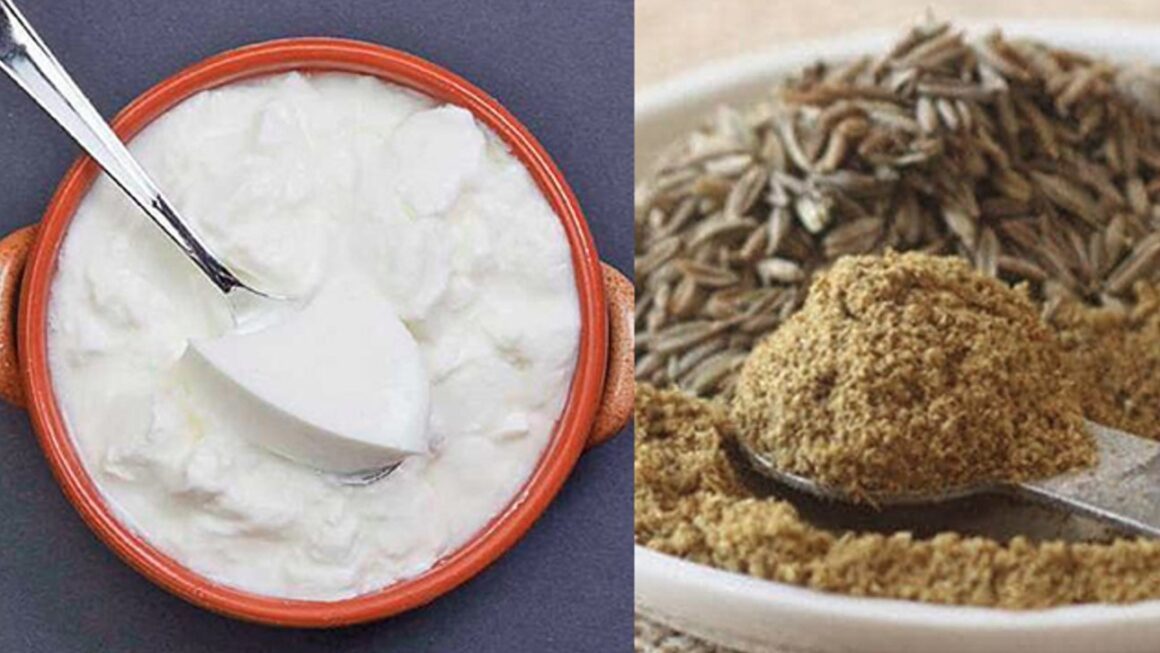 गर्मी में क्यों फायदेमंद है दही- भुना जीरा, आइये जानते हैं क्या कहते है स्वास्थ्य विशेषज्ञ