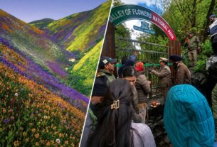 विश्व प्रसिद्ध फूलों की घाटी पर्यटकों के लिए खुली