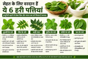 सेहत के लिए किसी वरदान से कम नहीं हैं ये 6 हरी पत्तियां, इम्यूनिटी बढ़ाने से लेकर दिल और पाचन तक को मिलता है फायदा