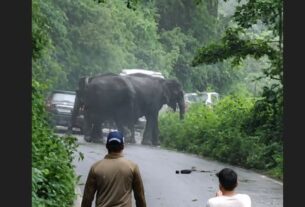 कोटद्वार हाईवे पर हाथियों का आतंक, तीन वाहन क्षतिग्रस्त; सड़क पर लगा लंबा जाम
