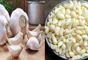 सुबह खाली पेट कच्चा लहसुन खाना कितना फायदेमंद? जानें फायदे, नुकसान और सही तरीका